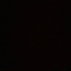 Meet your Posher, Ella